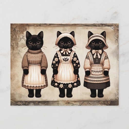 Carte Postale Journal de bricolage de chats effrayants (Devant)