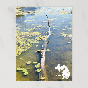 Carte Postale Journal horizontal des tortues du Metropark Lake E