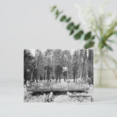 Carte Postale Journaliseurs vintages (Debout devant)