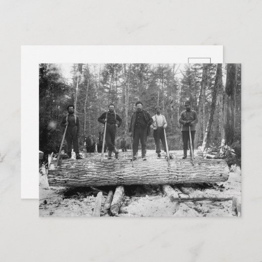 Carte Postale Journaliseurs vintages (Devant / Derrière)