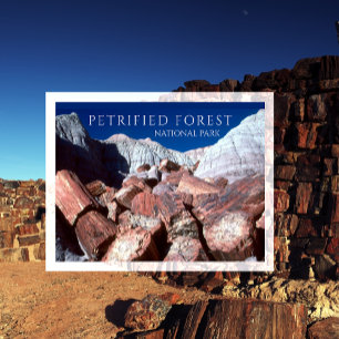 Carte Postale Journaux Petrifiés, Parc national de la forêt pétr