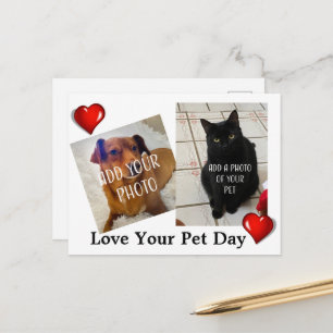 Carte Postale Journée de l'amour pour les animaux de compagnie