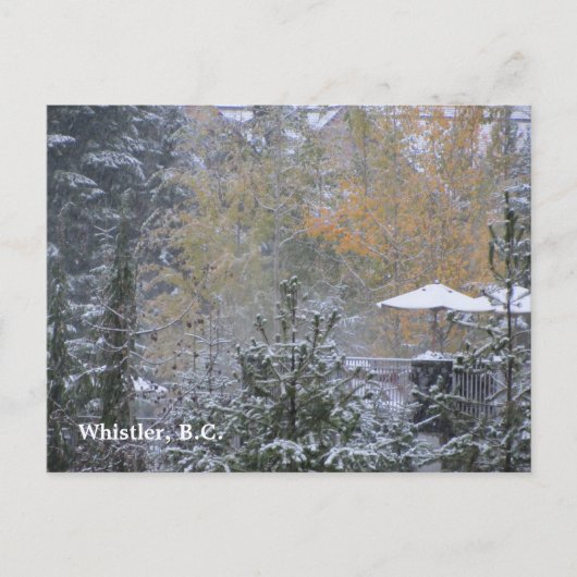 Carte Postale Journée enneigée à Whistler B.C. (Devant)