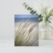 Carte Postale Journée farniente à la plage (Debout devant)