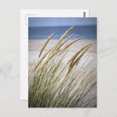 Carte Postale Journée farniente à la plage (Devant / Derrière)