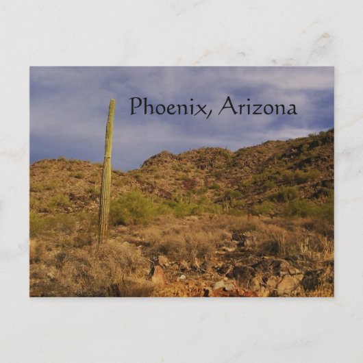 Carte Postale Journée orageuse à Phoenix (Devant)