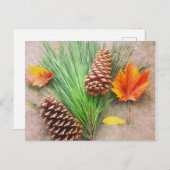 Carte Postale Jours d'automne (Devant / Derrière)