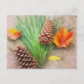 Carte Postale Jours d'automne (Devant)