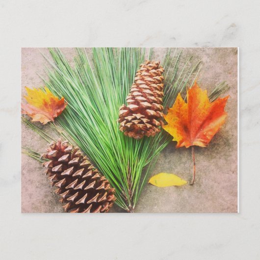 Carte Postale Jours d'automne (Devant)