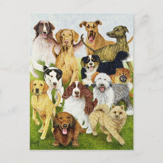 Carte Postale Jours de chien (Devant)