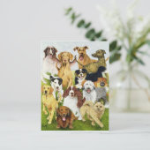 Carte Postale Jours de chien (Debout devant)
