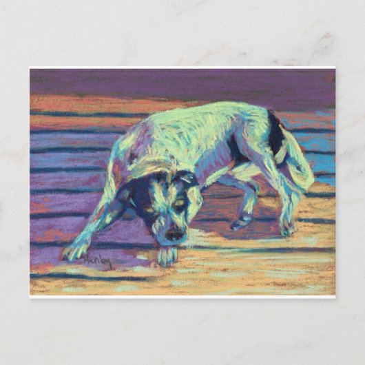 Carte Postale Jours de chien (Devant)