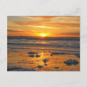 Carte Postale Jours ensoleillés