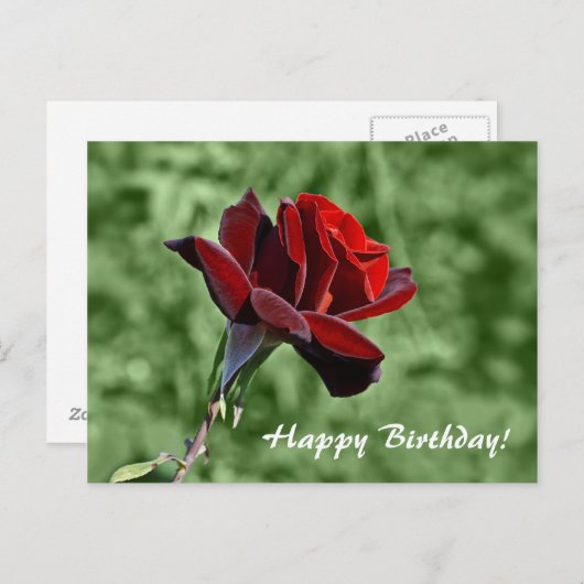 Carte postale Joyeuse Anniversaire (Devant / Derrière)