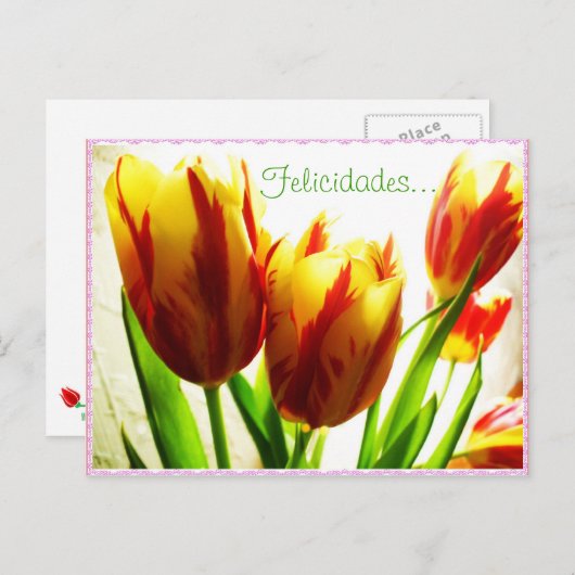 Carte postale Joyeuse Anniversaire (Devant / Derrière)