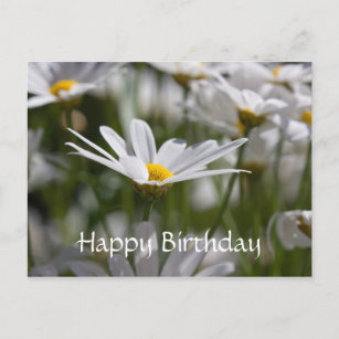 Cartes Postales Joyeux Anniversaire Fleur Marguerite Originales Zazzle Be