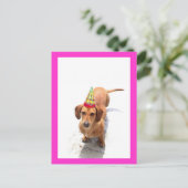 Carte postale Joyeuse Anniversaire Dachshund (Debout devant)