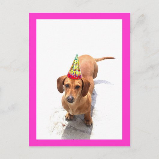 Carte postale Joyeuse Anniversaire Dachshund (Devant)