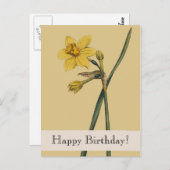 Carte postale Joyeuse Anniversaire de la jonquette (Devant / Derrière)