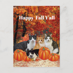 Carte postale Joyeuse Automne à tous les Chats et