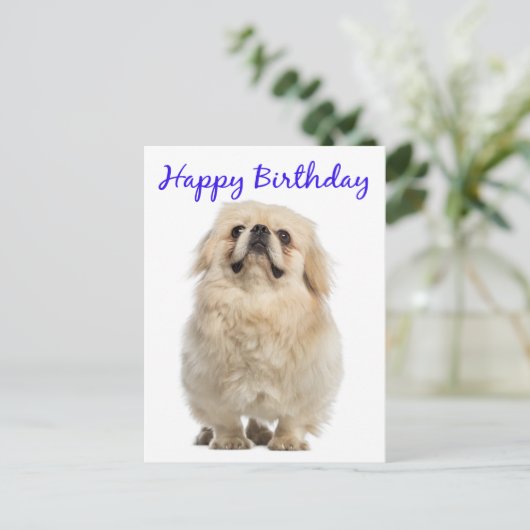 Carte Postale Joyeuse Crème d'anniversaire Pekingese Chien Chien (Debout devant)