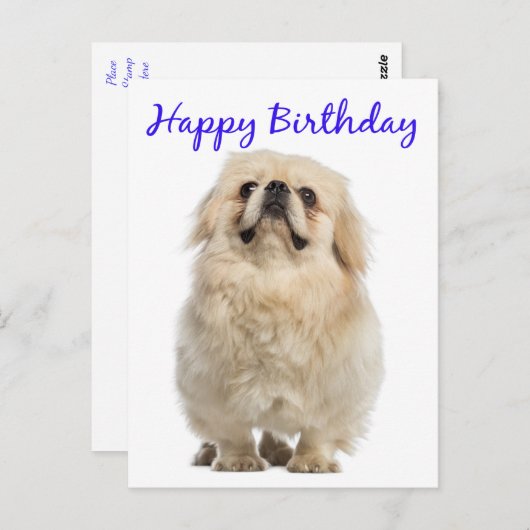 Carte Postale Joyeuse Crème d'anniversaire Pekingese Chien Chien (Devant / Derrière)
