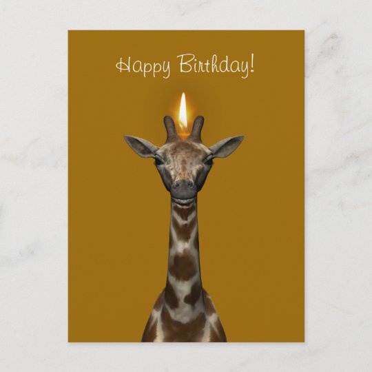 Carte Postale Joyeuse Giraffe D Anniversaire Zazzle Be