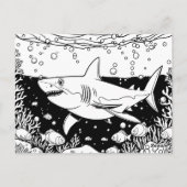 Carte Postale Joyeuse Journée de sensibilisation aux requins | 1 (Dos)