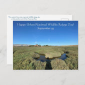 Carte Postale Joyeuse Journée nationale de la faune urbaine ! (Devant / Derrière)