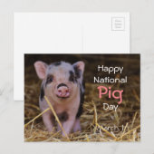 Carte Postale Joyeuse Journée nationale du cochon ! (1er mars) (Devant / Derrière)