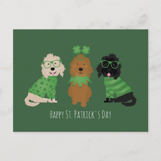Carte Postale Joyeuse Saint-Patrick Chiens Goldendoodle (Devant)