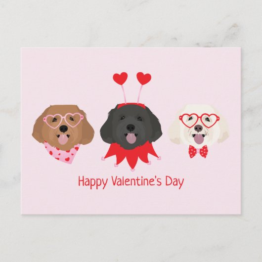 Carte Postale Joyeuse Saint-Valentin Chiens Maltipoo (Devant)