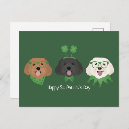 Carte Postale Joyeuse St Patrick Maltipoo Chiens (Devant / Derrière)