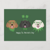Carte Postale Joyeuse St Patrick Maltipoo Chiens (Devant)