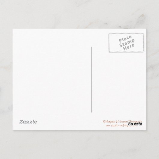 Carte postale Joyeuse Starfish Anniversaire (Dos)