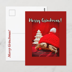 Carte Postale Joyeuse tortue sulcata Grinchmas dans un casquette