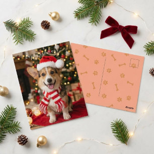 Carte Postale Joyeuses Fêtes Corgi Sourire Noël