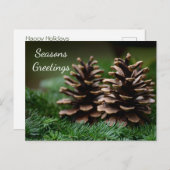 Carte Postale Joyeuses Fêtes de Pine Cone (Devant / Derrière)