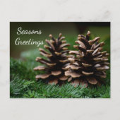 Carte Postale Joyeuses Fêtes de Pine Cone (Devant)