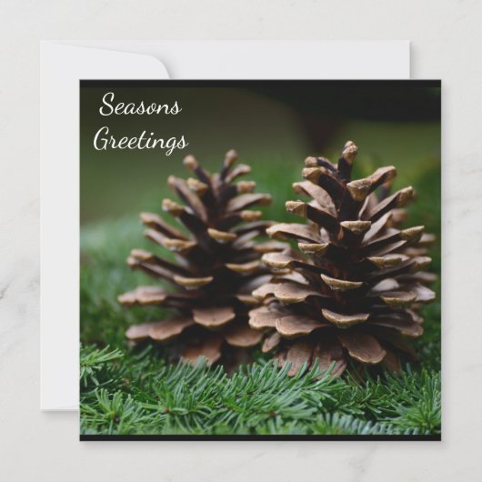 Carte postale Joyeuses Fêtes Pine Cone (Devant)