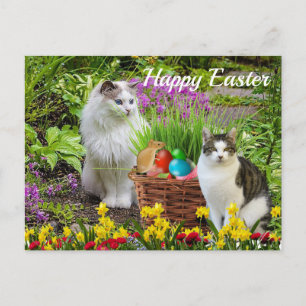 Carte Postale Joyeuses Pâques de votre fête de chat