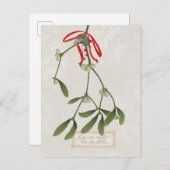 Carte Postale Joyeuses Tidings | Embrasse-Moi Sous La Mistletoe (Devant / Derrière)