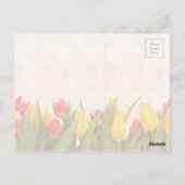 Carte Postale Joyeuses Tulipes colorées au printemps (Dos)