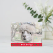 Carte Postale Joyeuses vacances de Snow Alpaca (Debout devant)