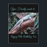 Carte Postale Joyeux 18e anniversaire Son lézard<br><div class="desc">Mignonne 18ème anniversaire salutations pour les garçons,  Vous avez finalement fait à Joyeux 18ème anniversaire pour vous fils Plus de boue,  plus de bugs,  plus de lézards et de créatures déplaisantes. Vous êtes devenu un adulte intelligent,  allez voir ce que le monde est vraiment.</div>