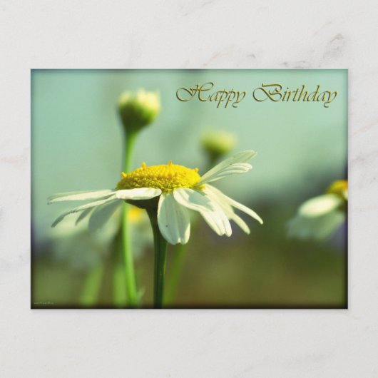 Carte Postale Joyeux anniversaire (Devant)