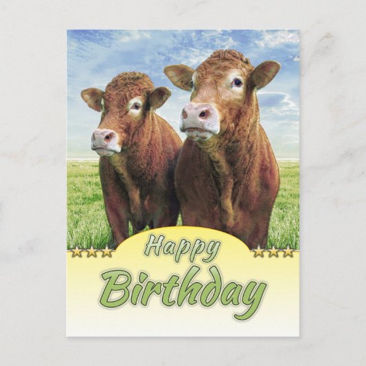 Carte Postale Joyeux Anniversaire (Devant)