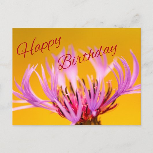 Carte Postale Joyeux anniversaire ! (Devant)