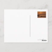 Carte Postale Joyeux anniversaire (Dos)