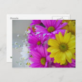 Carte Postale Joyeux anniversaire ! ! ! (Devant / Derrière)